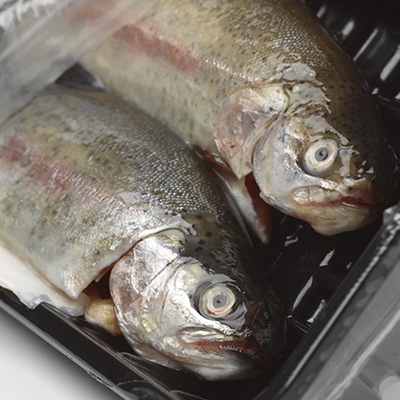 Poissons et fruits de mer crus
