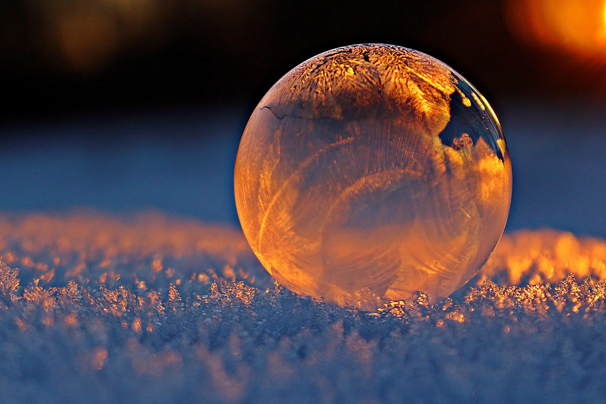 Frozen Bubble on Frosty Grass
