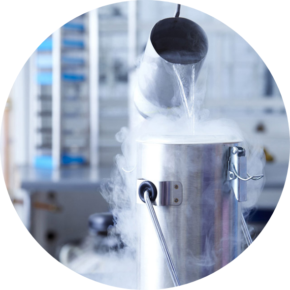 Cryo Fog