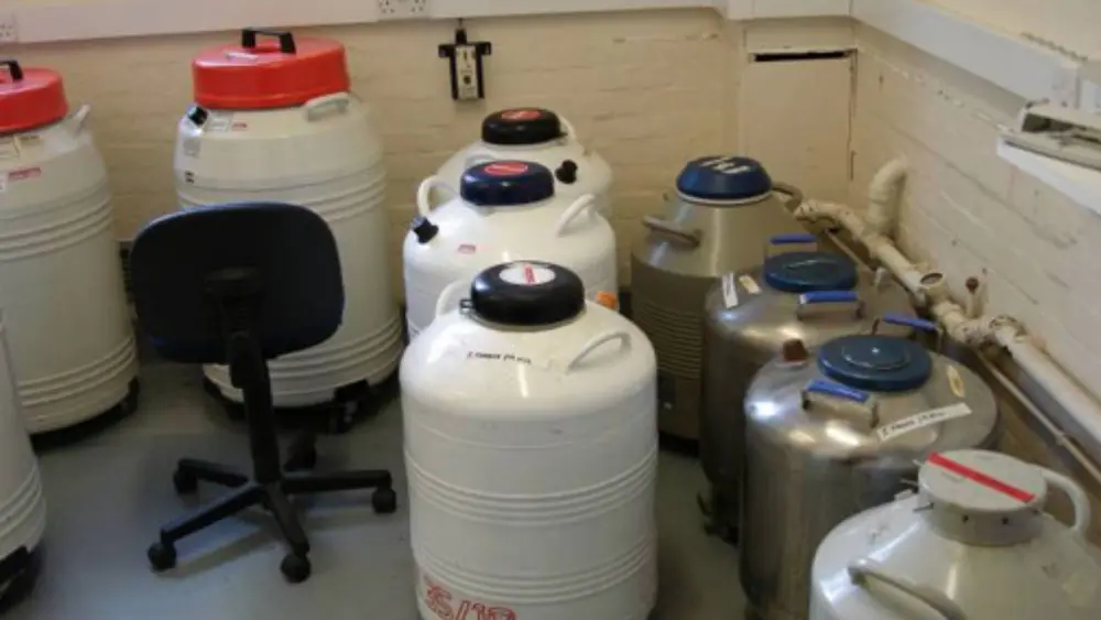 Freezer Cannisters in Store Room