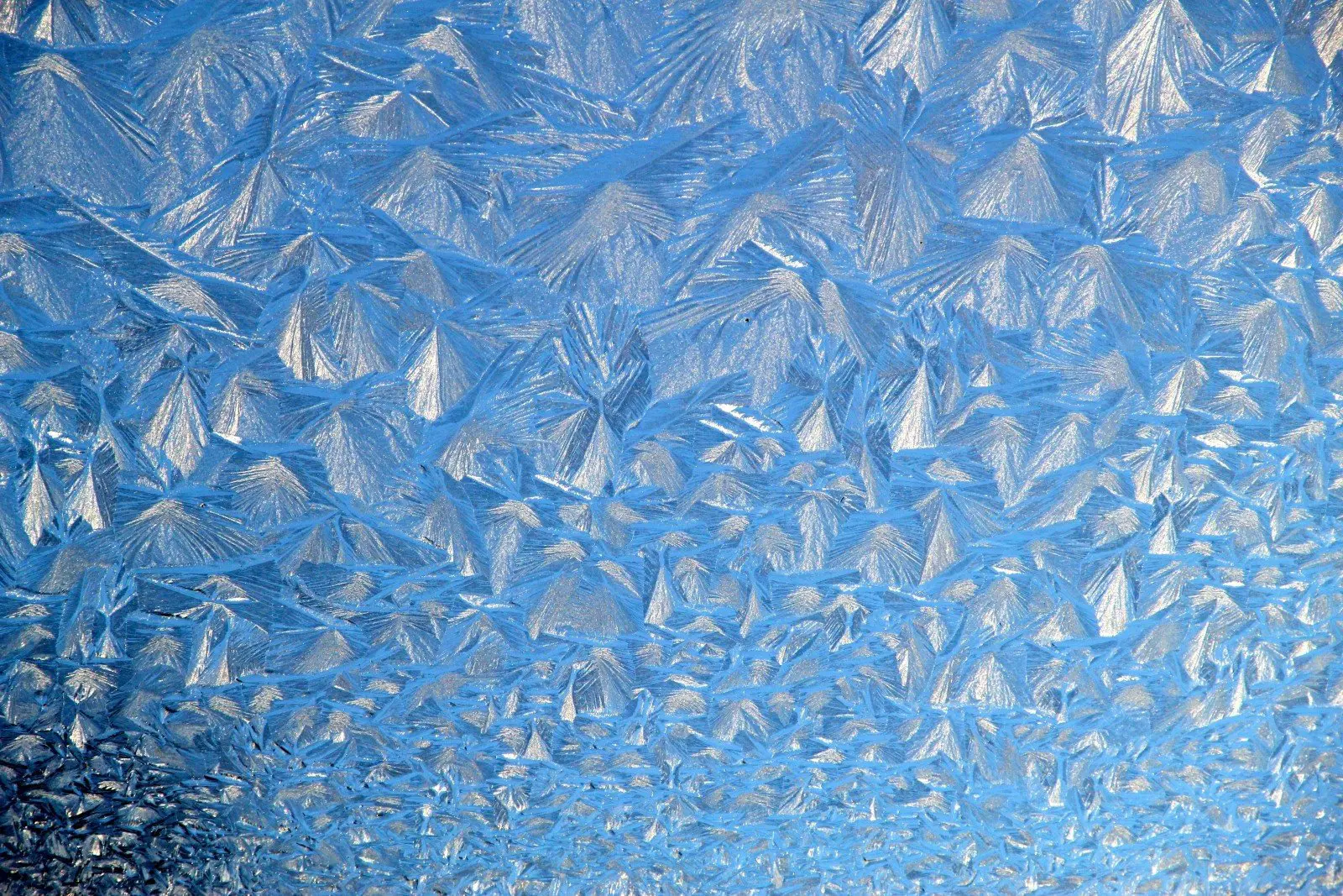 Icey Frozen Window