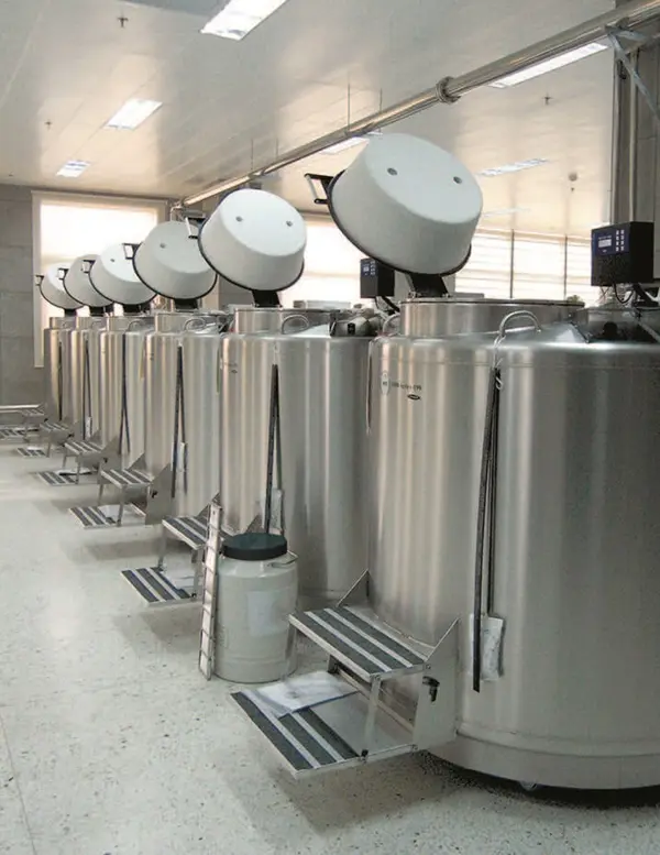 Range of Large Cryo Freezers in a Row at Facility