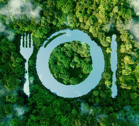 Food future: improving sustainability in the food and beverage industry