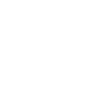 VIDEO STORY