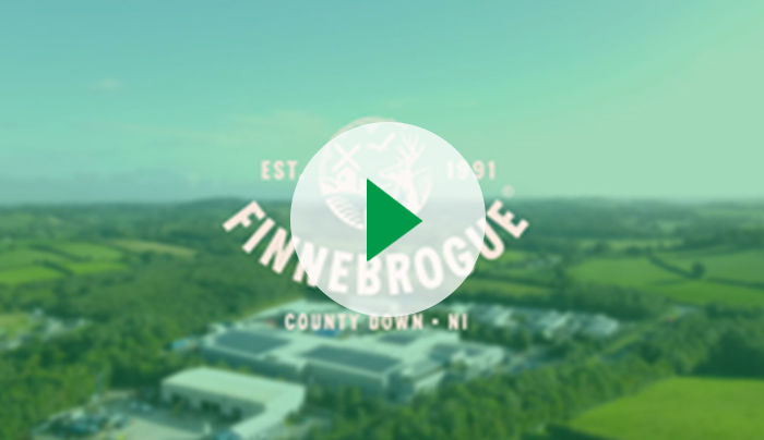 Finnebrogue